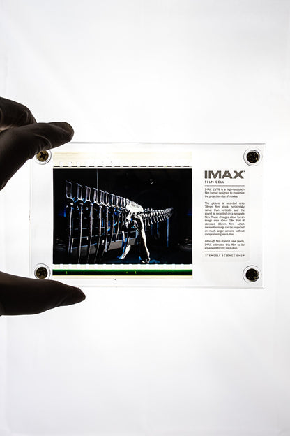 IMAX Film Cell Historic Artifacts Stemcell Science Shop