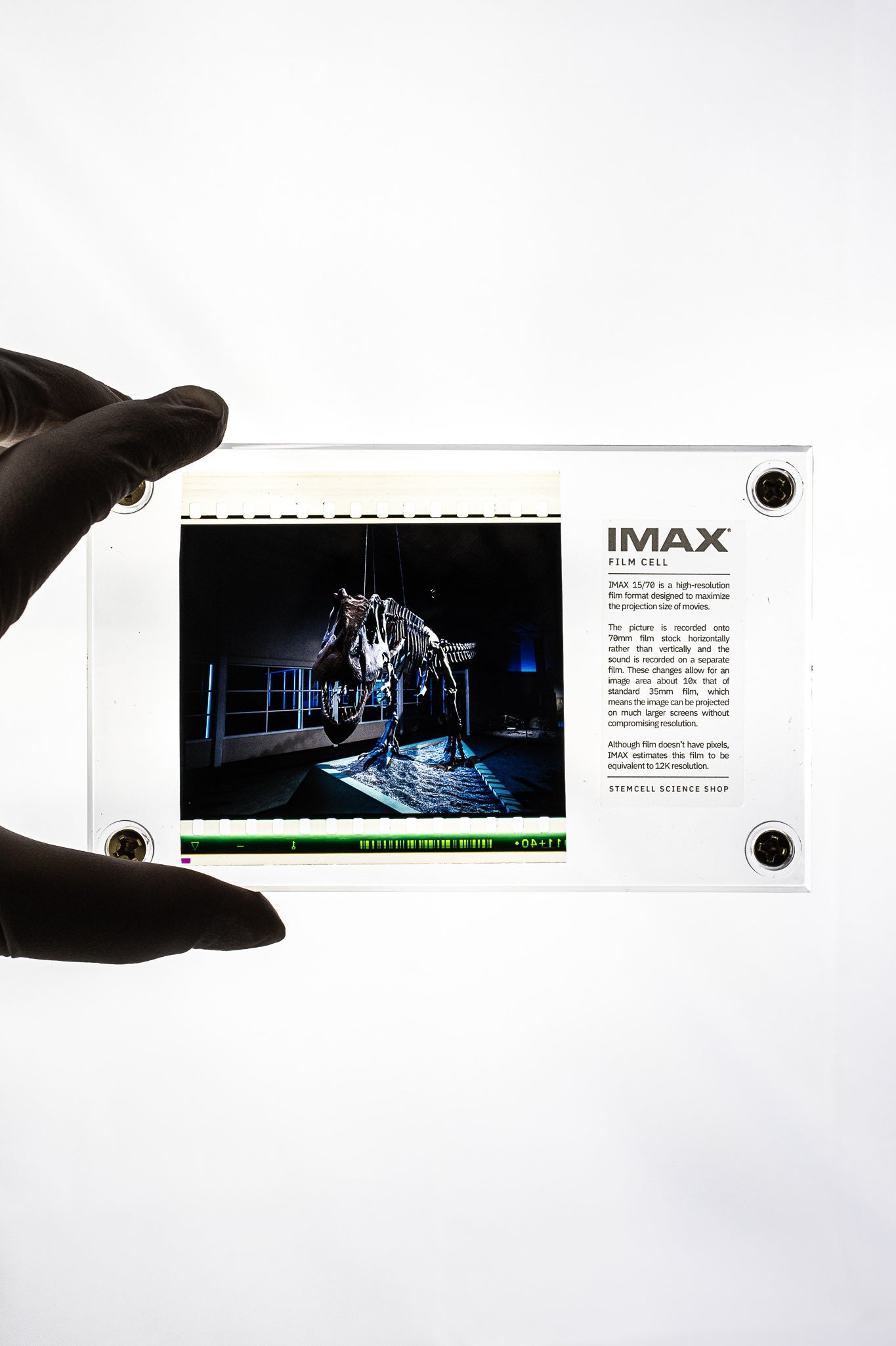 IMAX Film Cell Historic Artifacts Stemcell Science Shop