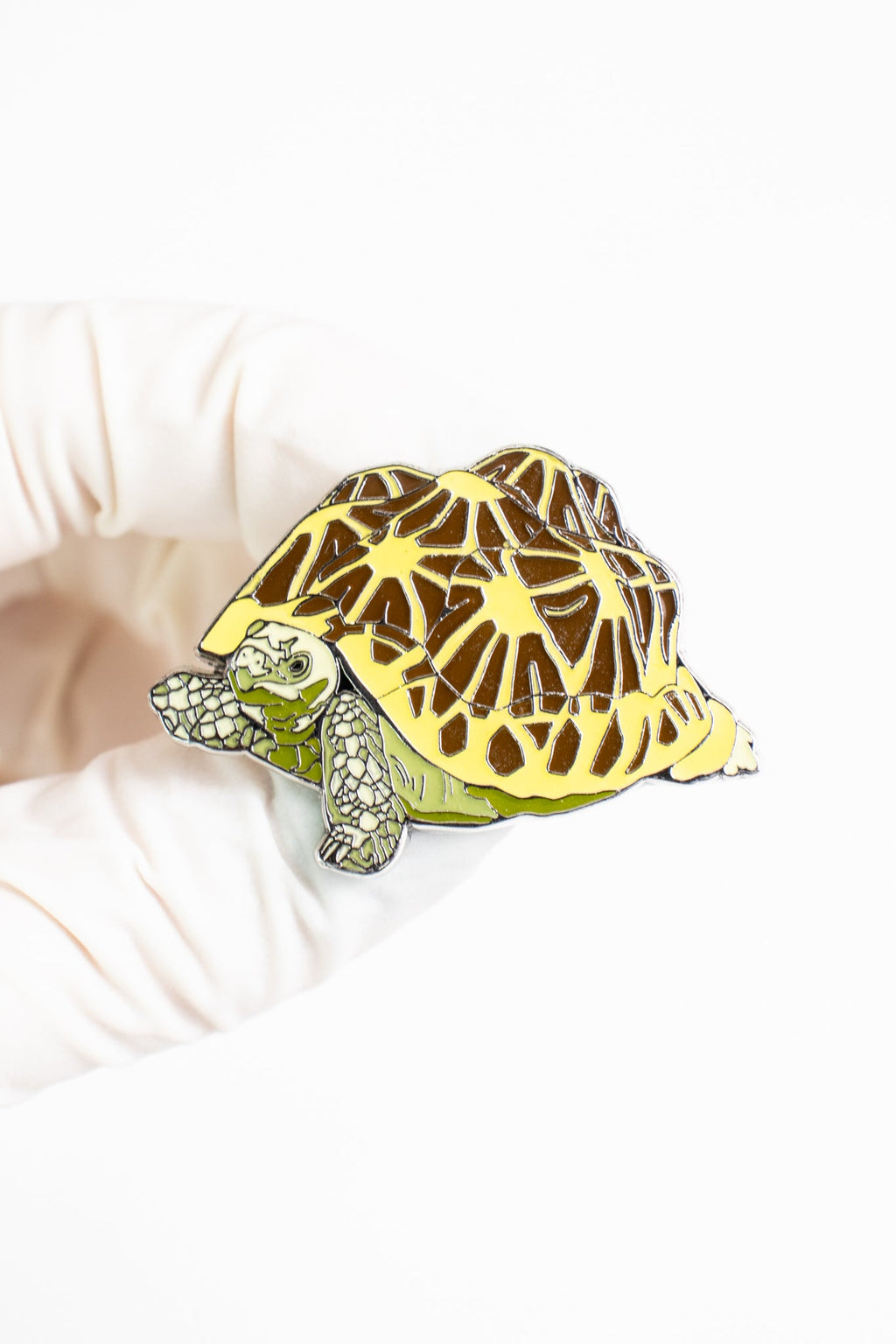 Indian Star Tortoise Enamel Pin (Geochelone elegans), Default Title at Stemcell Science Shop