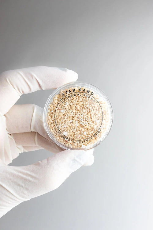 Japanese Star Sand, Default Title at Stemcell Science Shop