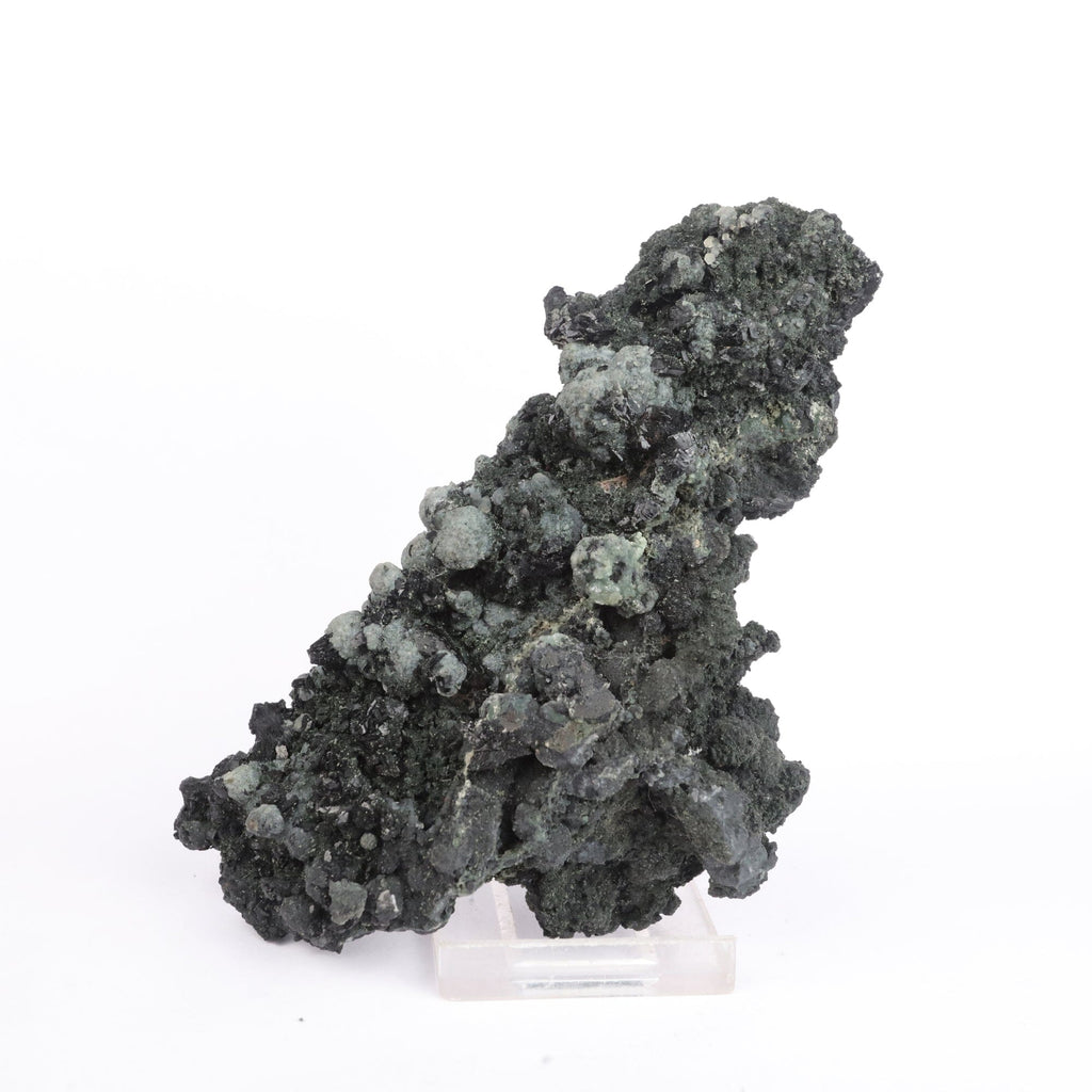 Julgoldite with Babingtonite Rare Found  Natural Mineral Specimen # B 6623