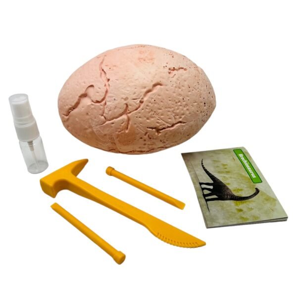 Jumbo Dino Egg Dig - Kids from Stemcell Science Shop