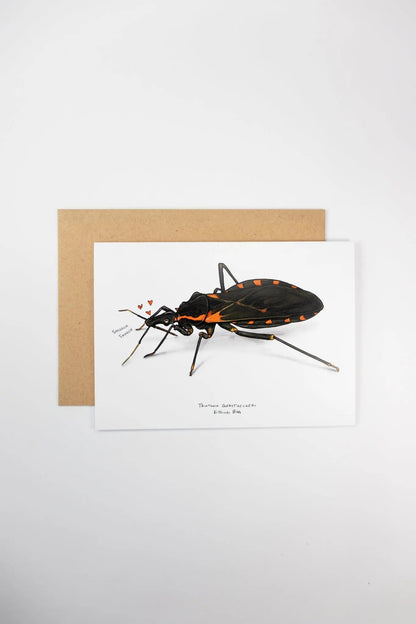 Kissing Bug Card Stationery Stemcell Science Shop