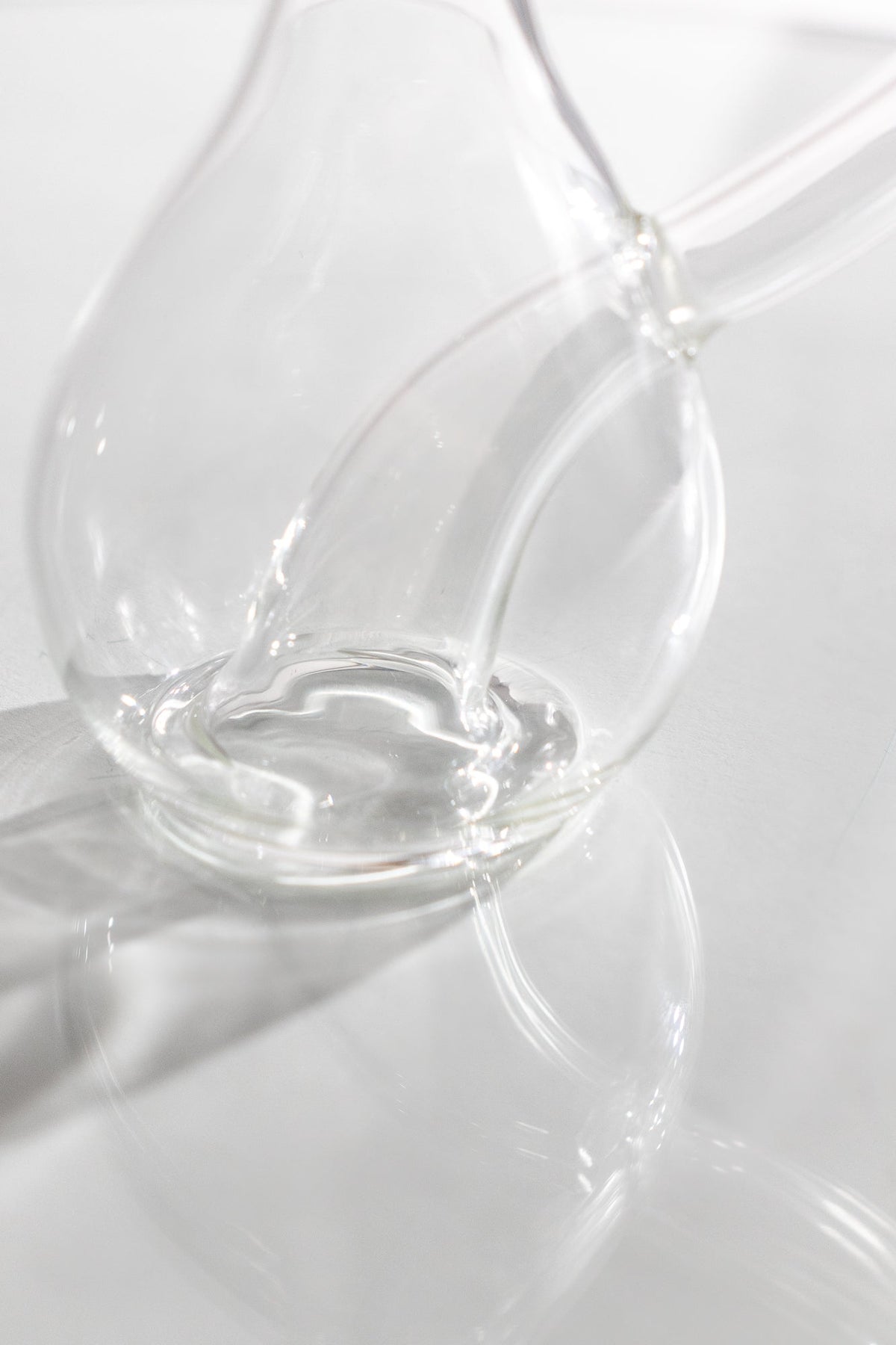 Klein Bottle, Standard at Stemcell Science Shop