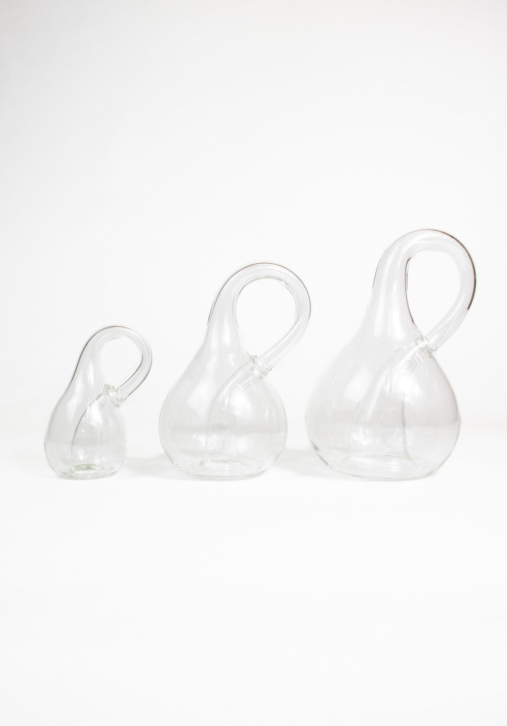 Klein Bottle, Standard at Stemcell Science Shop