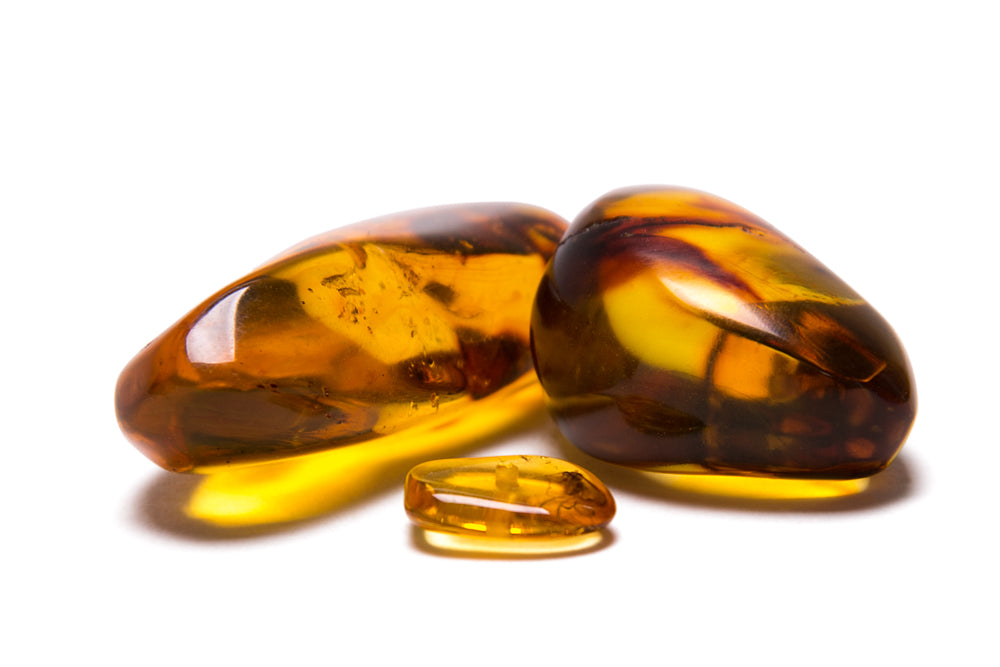 Insect in Amber - Baltic Amber