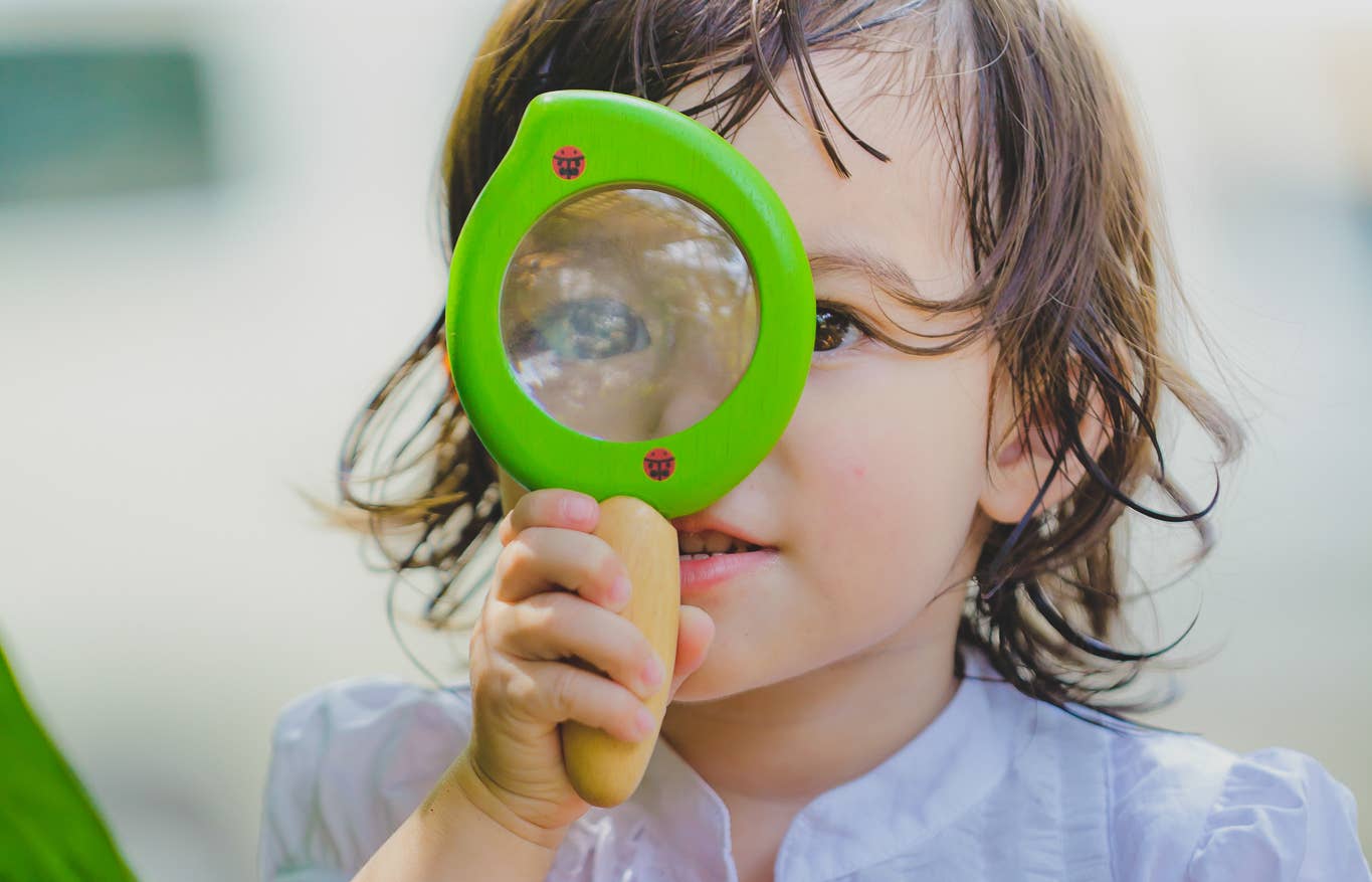 Wooden Leaf Magnifier - Kids from Stemcell Science Shop