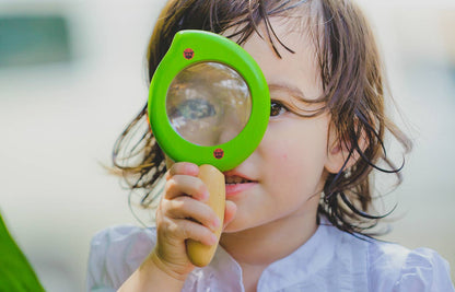 Wooden Leaf Magnifier - Kids from Stemcell Science Shop