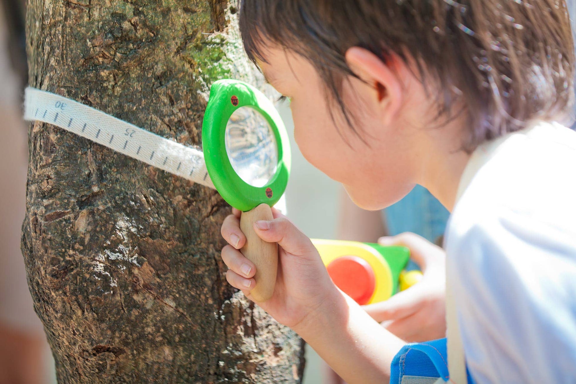 Wooden Leaf Magnifier - Kids from Stemcell Science Shop