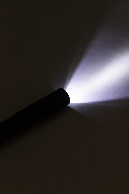 LED Penlight, Default Title at Stemcell Science Shop