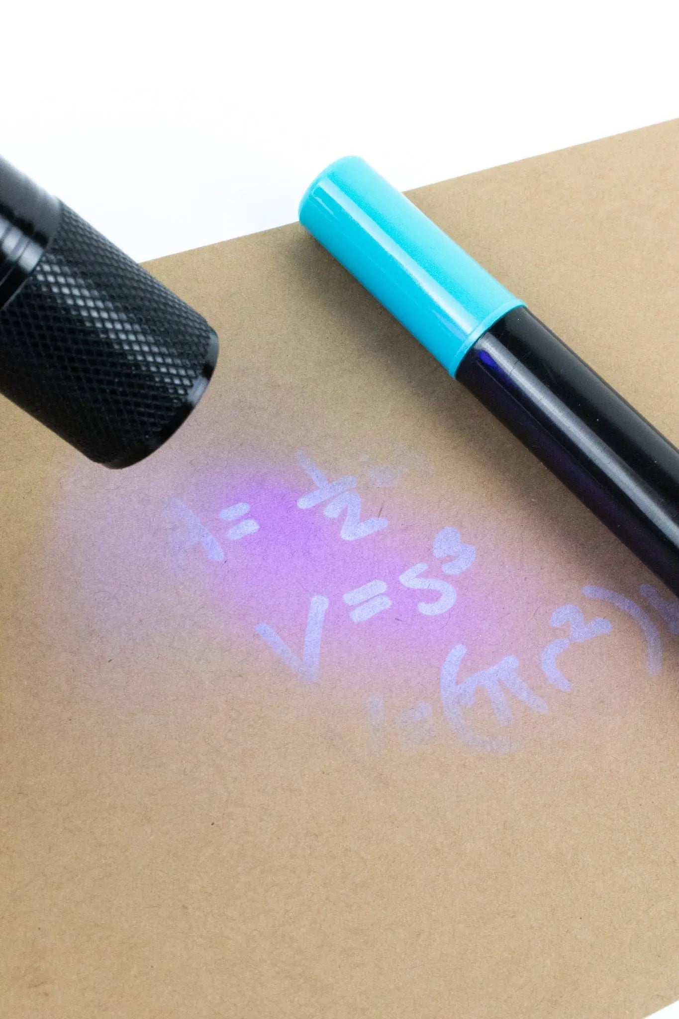 LED Ultraviolet Flashlight - Tool from Stemcell Science Shop