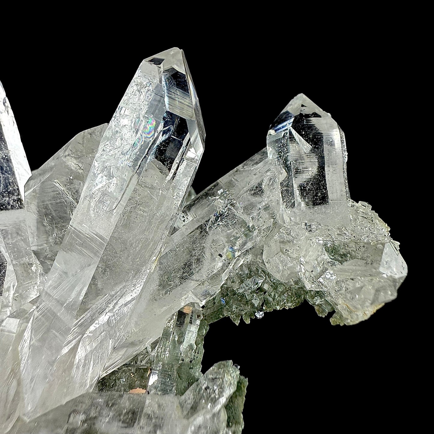 Lemurian Quartz on Chlorite Matrix | SELF STANDING | High Quality Mineral | Indian Mineral | Superb Minerals