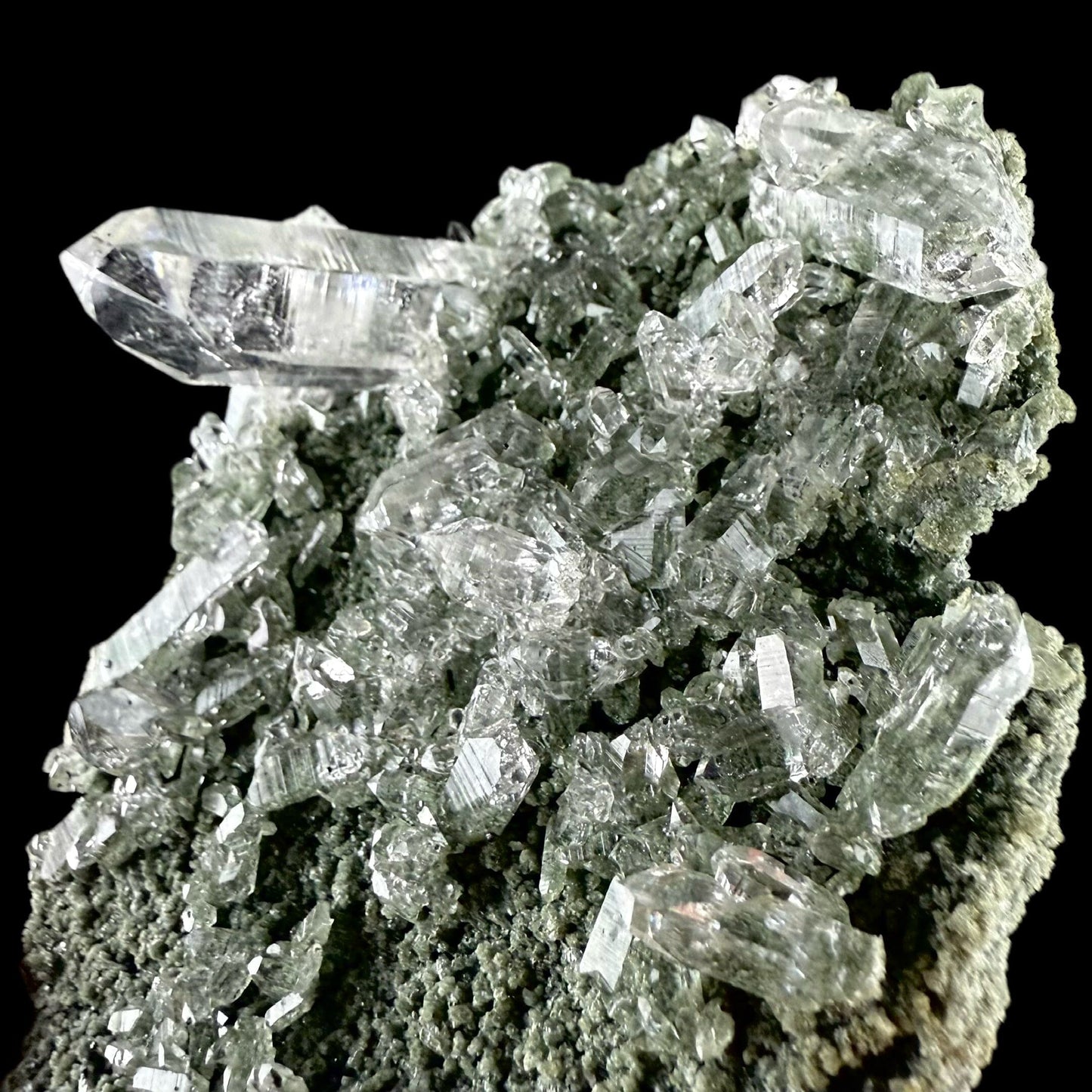 Lemurian Quartz on Sparkly Chlorite Natural Mineral Specimen