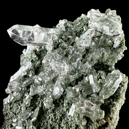 Lemurian Quartz on Sparkly Chlorite Natural Mineral Specimen