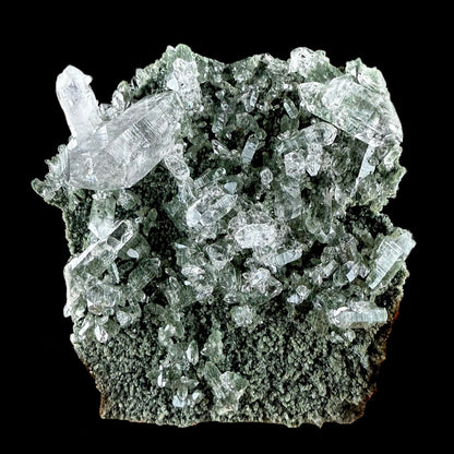 Lemurian Quartz on Sparkly Chlorite Natural Mineral Specimen