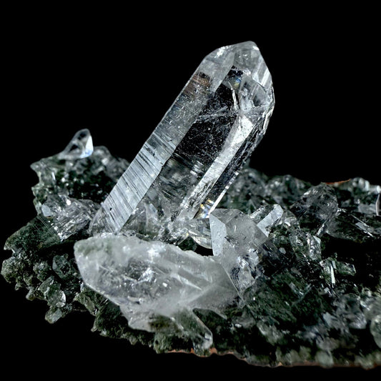 Lemurian Quartz on Sparkly Chlorite Natural Mineral Specimen