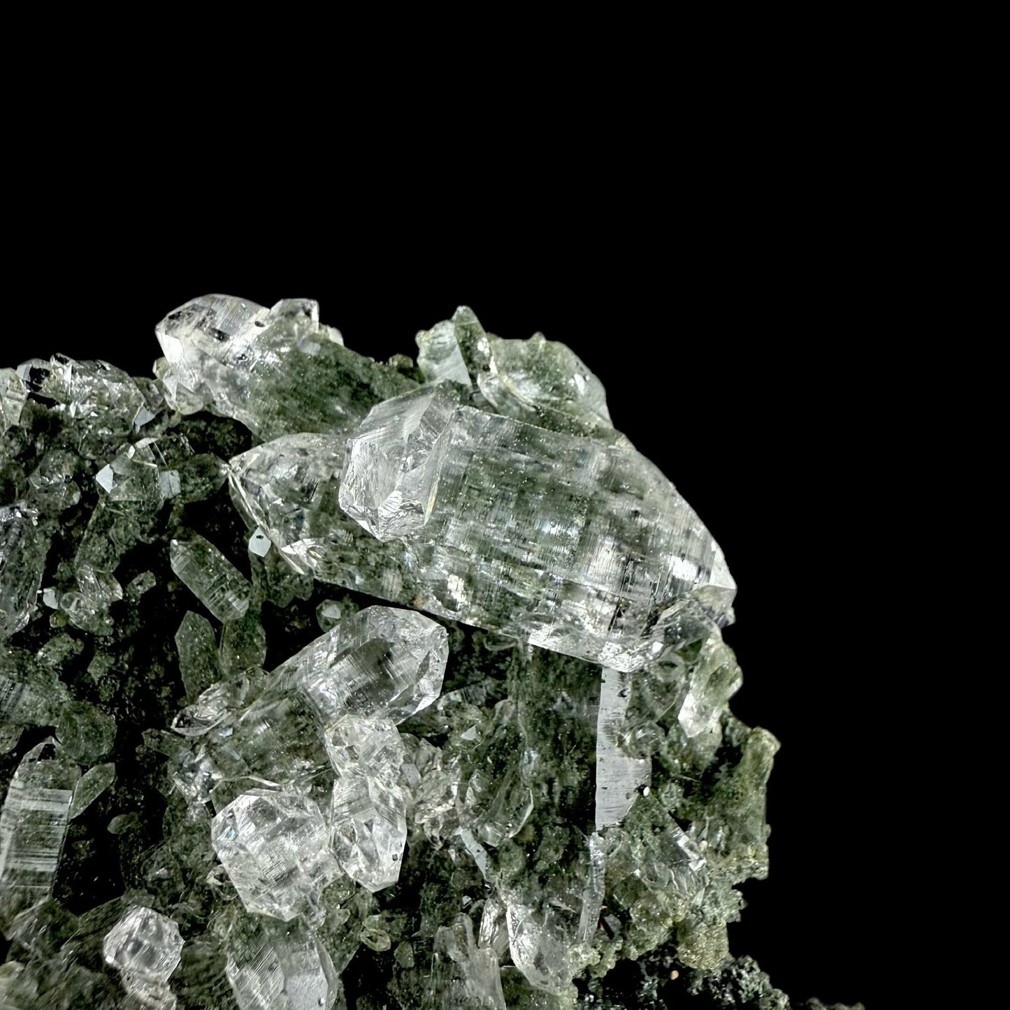 Lemurian Quartz on Sparkly Chlorite Natural Mineral Specimen