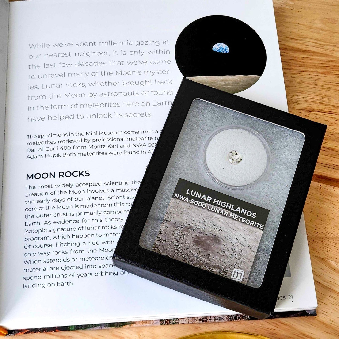 Lunar Highlands - Classic Riker Box Specimens