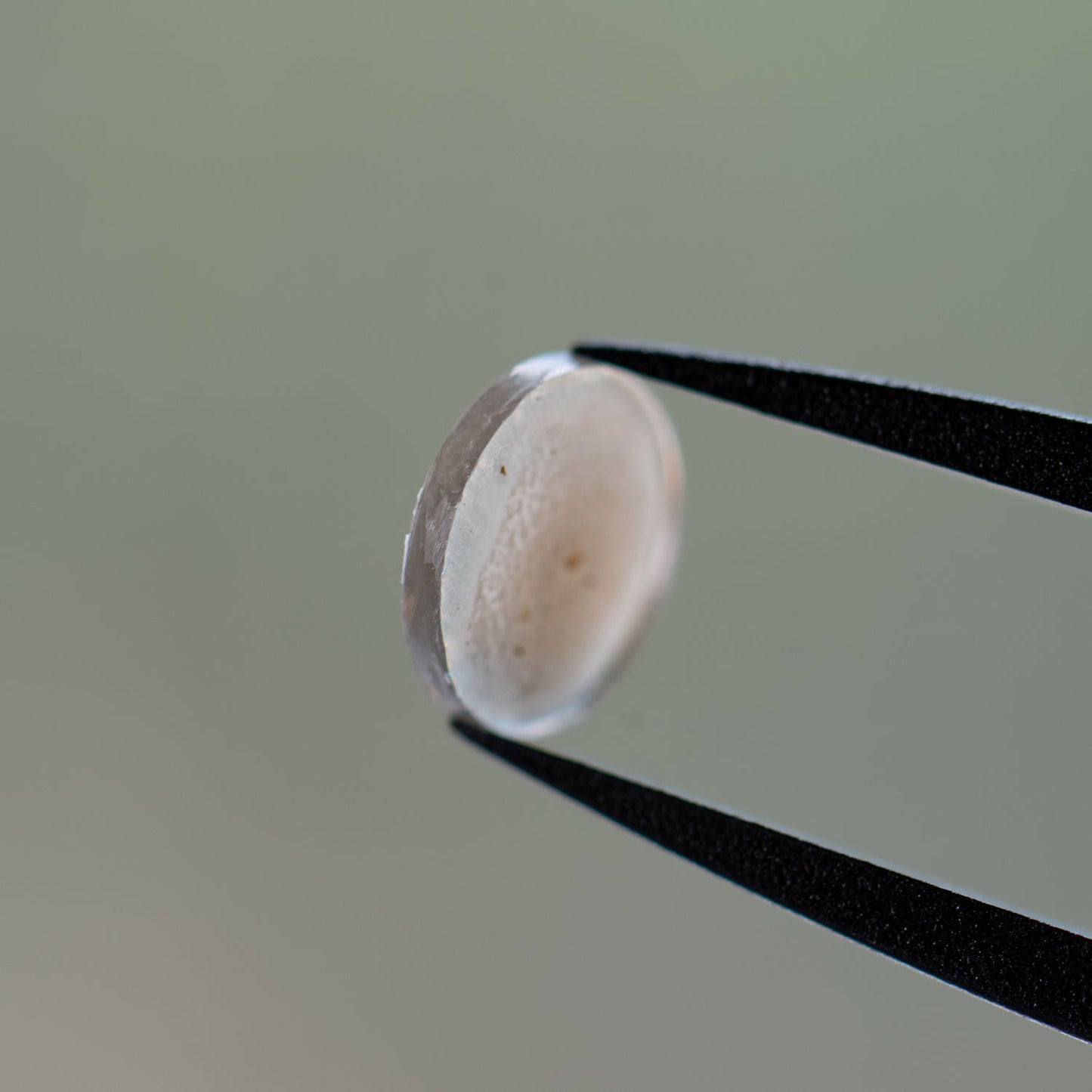 Martian Dust Storm NWA 7397 - Martian Meteorite