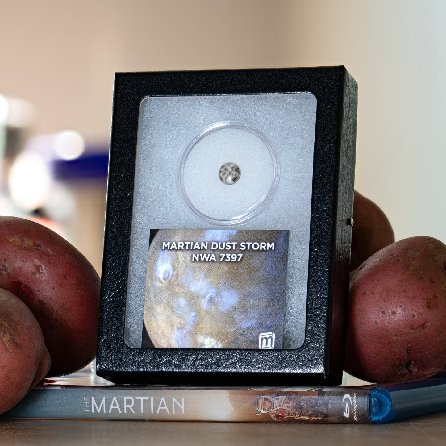 Martian Dust Storm NWA 7397 - Martian Meteorite