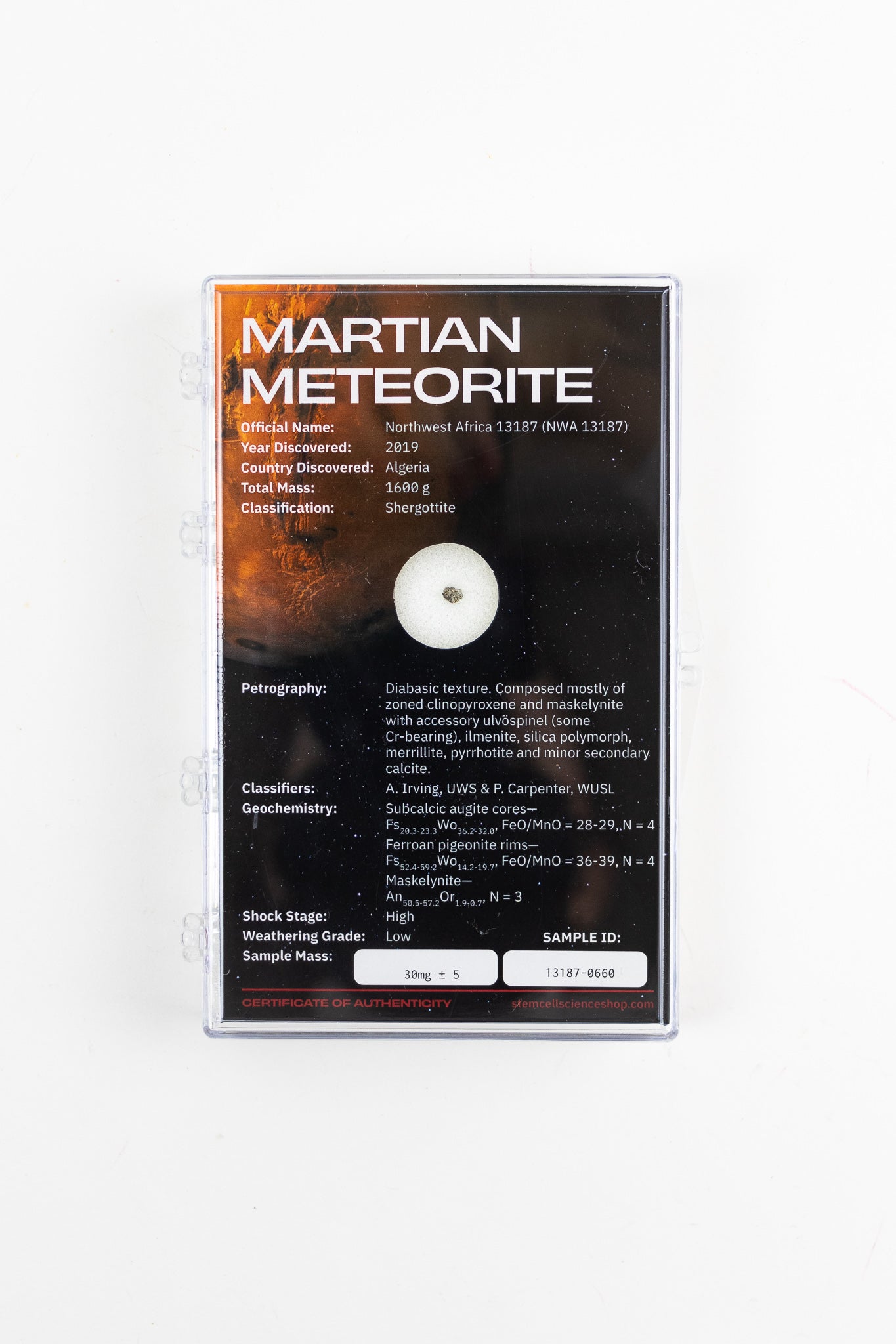 Martian Meteorite NWA13187 Rocks & Minerals Stemcell Science Shop