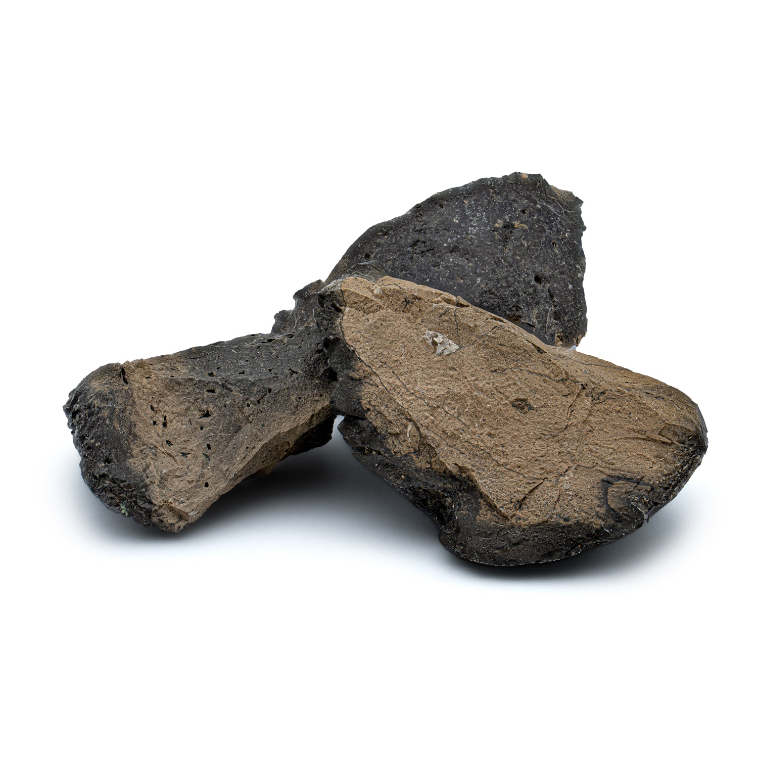 Megalodon Poop