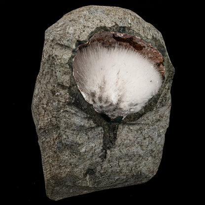 Mesolite Inside MM Quartz Geode Natural Mineral Specimen # B 6591