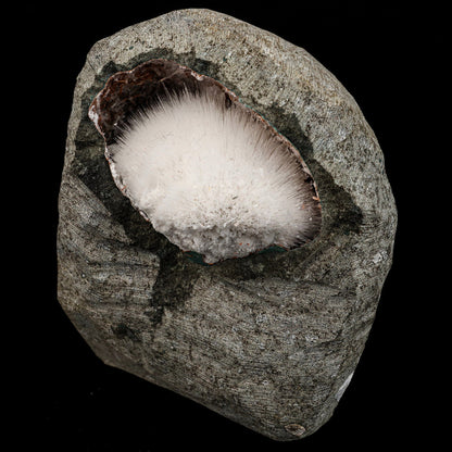 Mesolite Inside MM Quartz Geode Natural Mineral Specimen # B 6591