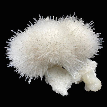 Mesolite, Apophyllite, Stilbite on Mordenite - Natural Mineral Specimen # DK194