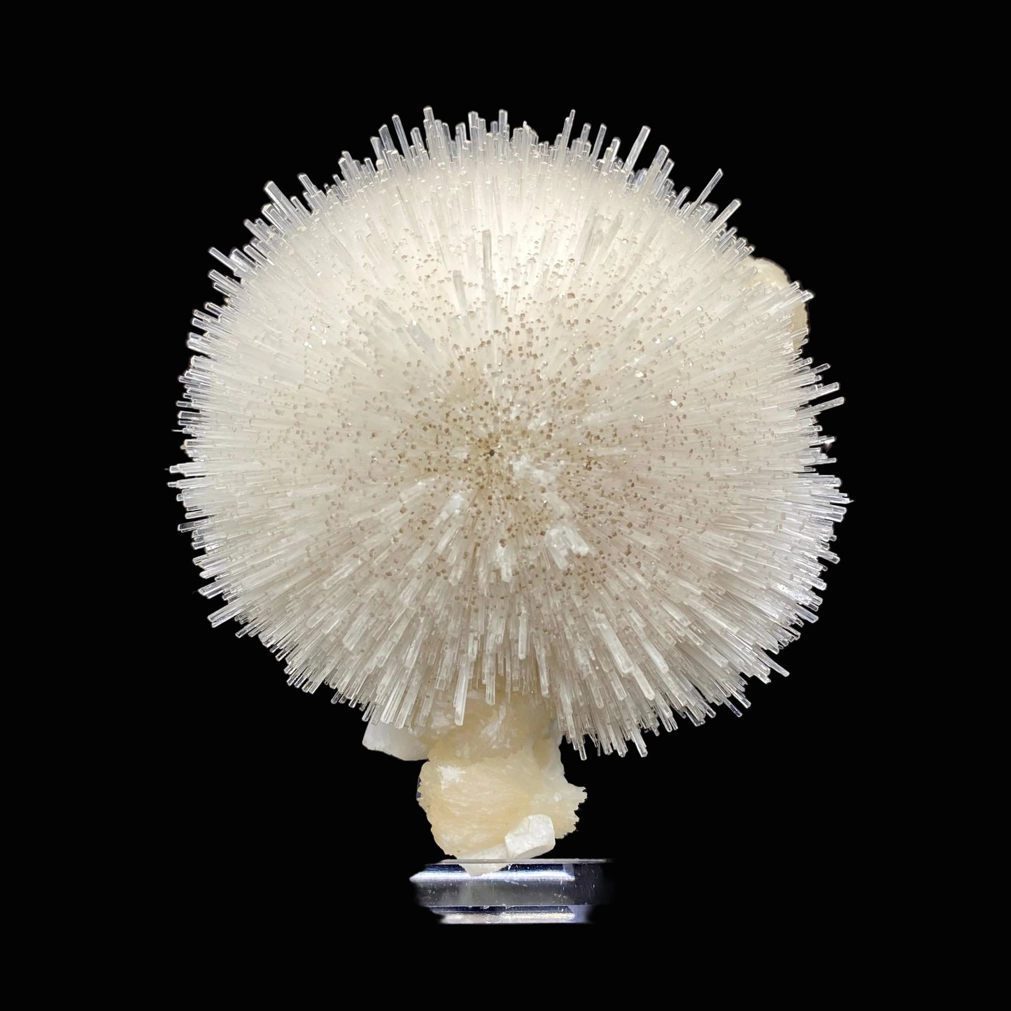 Mesolite on Mordenite Natural Mineral Specimen # DK195
