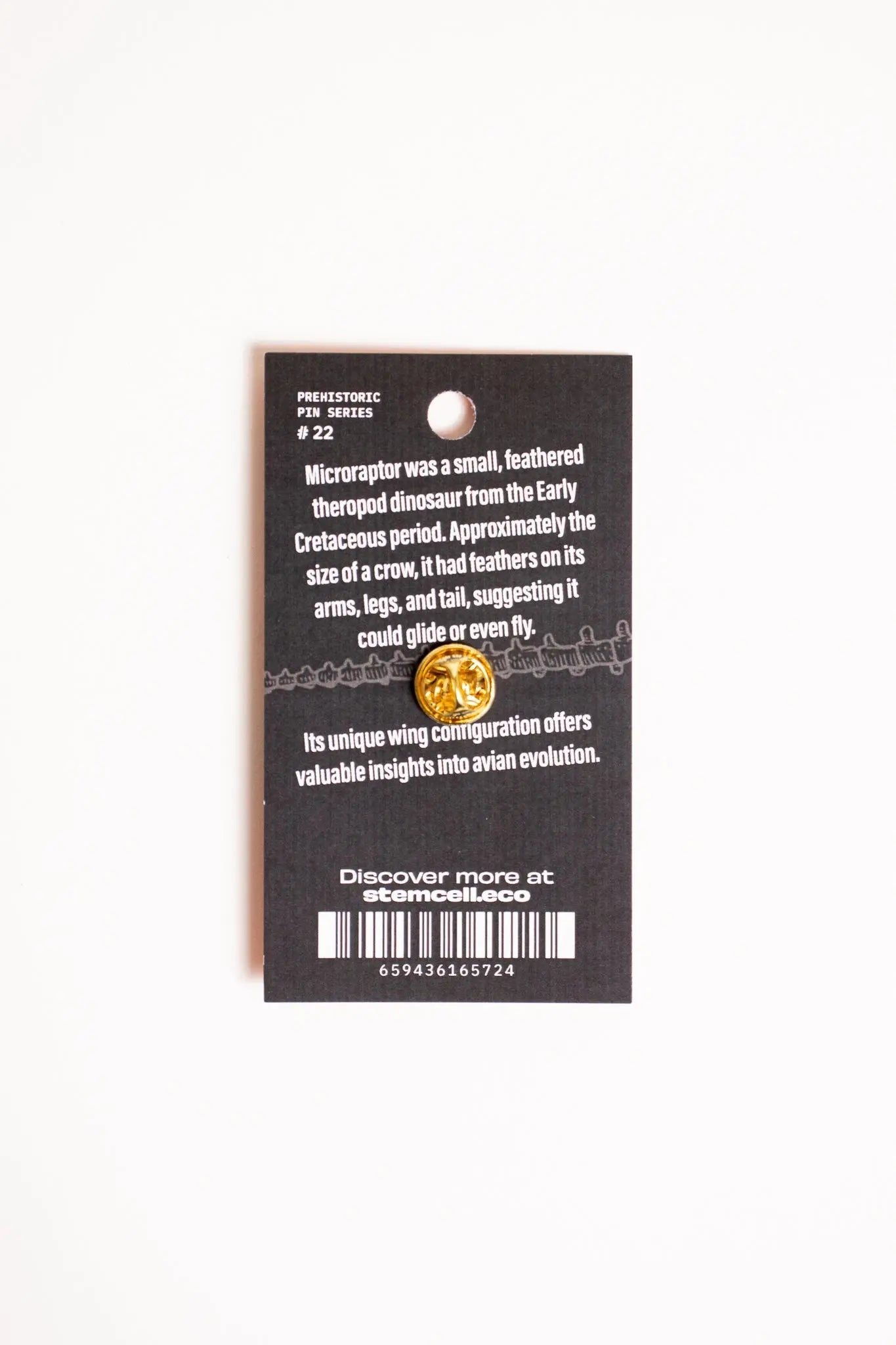 Microraptor Enamel Pin (Microraptor gui), Default Title at Stemcell Science Shop