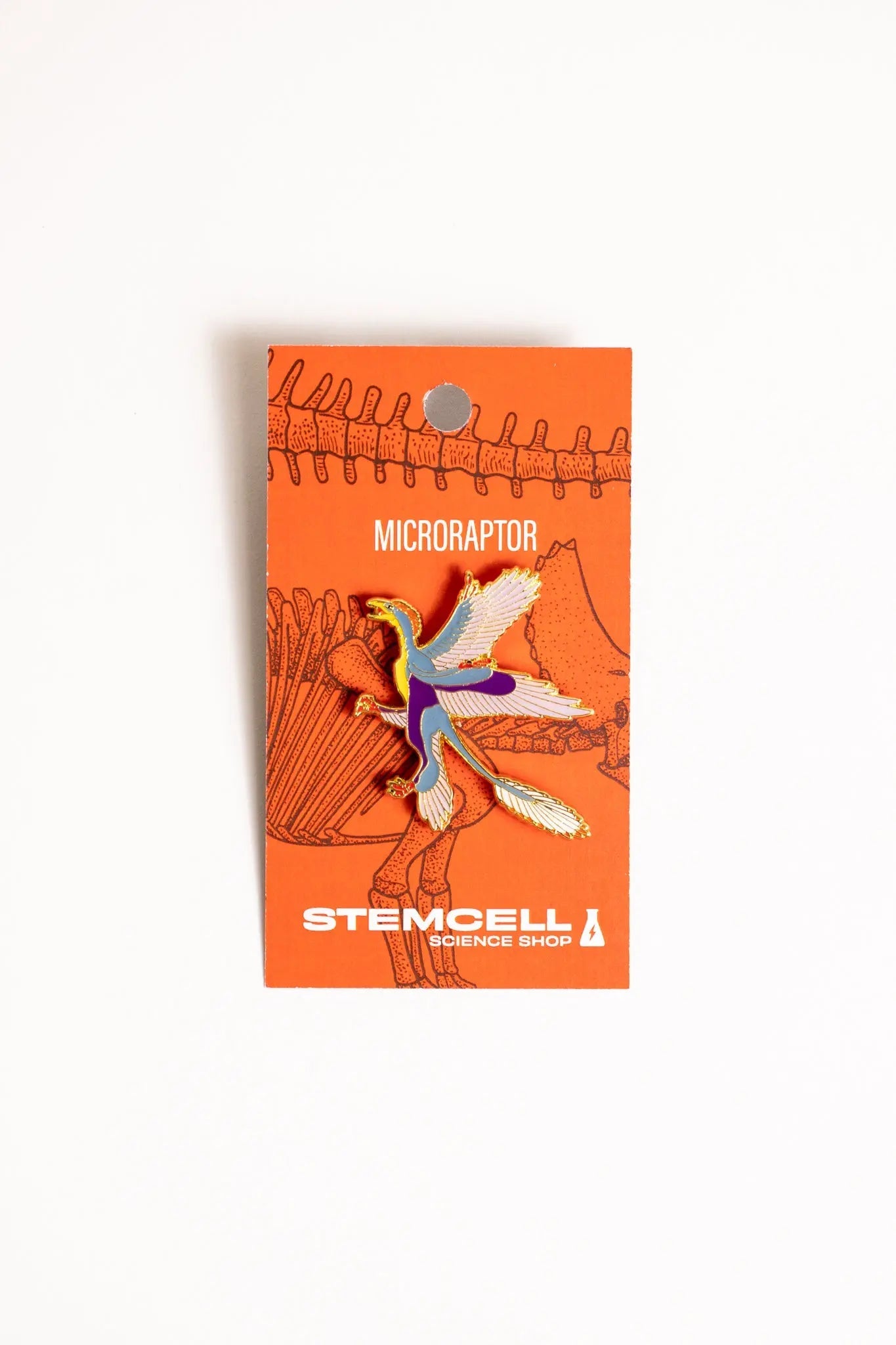 Microraptor Enamel Pin (Microraptor gui), Default Title at Stemcell Science Shop