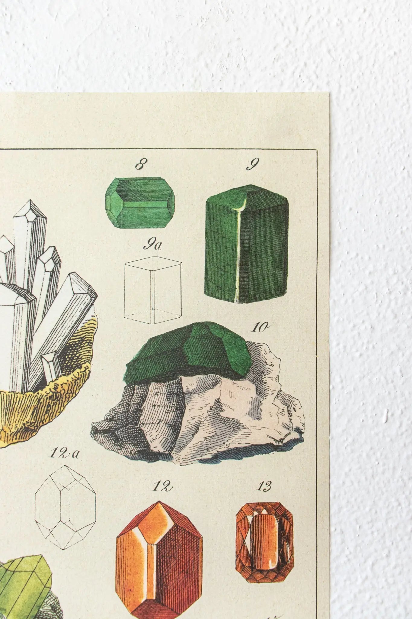 Mineralogy Scientific Chart Charts Stemcell Science Shop