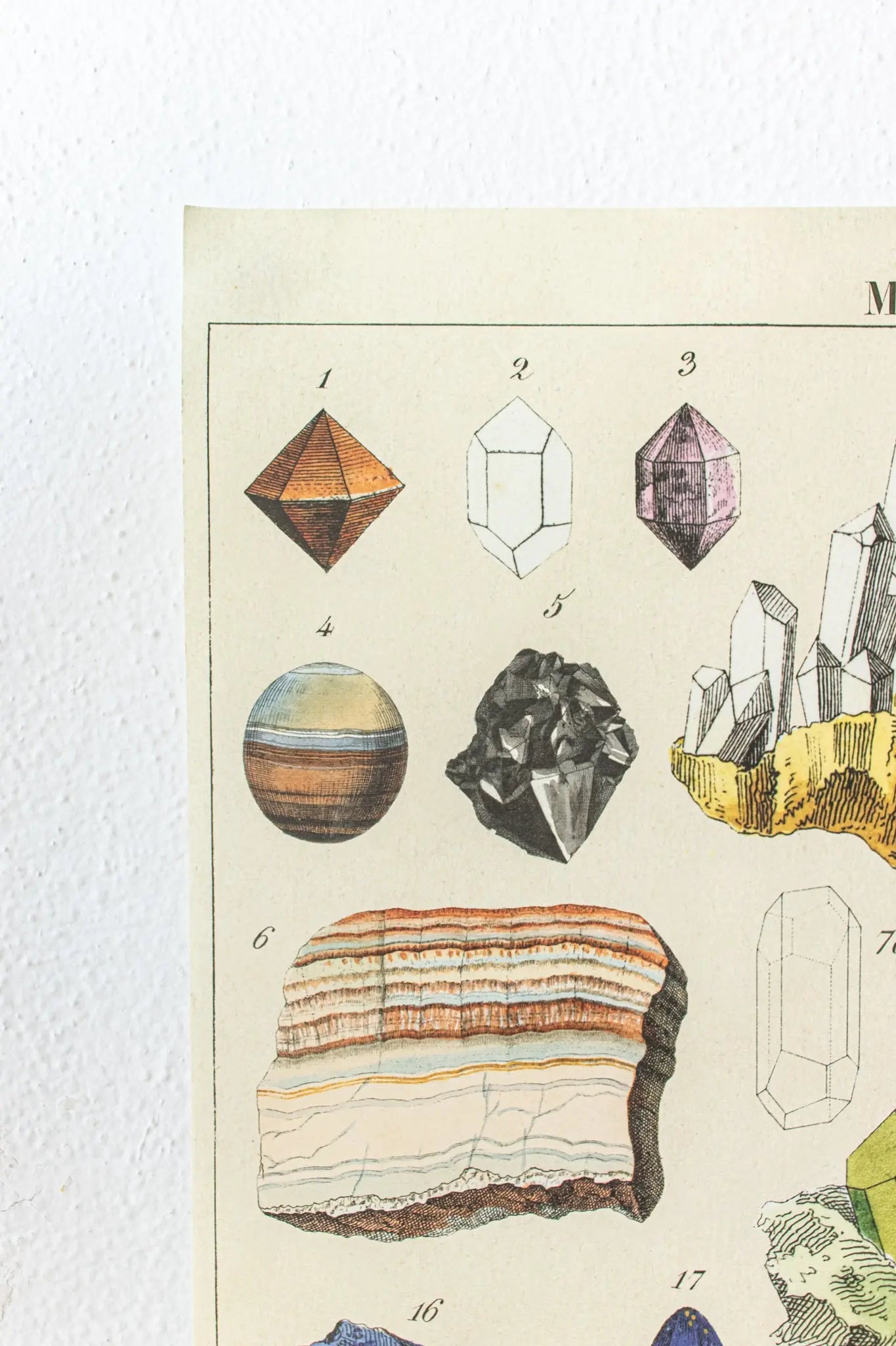 Mineralogy Scientific Chart Charts Stemcell Science Shop