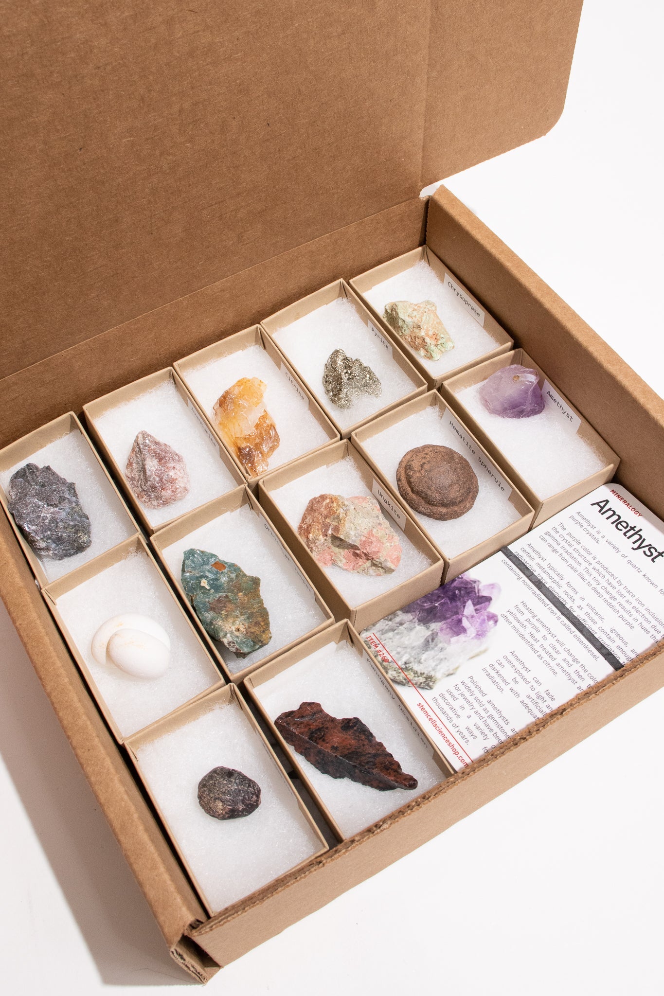 Minerals of Earth Collection Collection Box Stemcell Science Shop