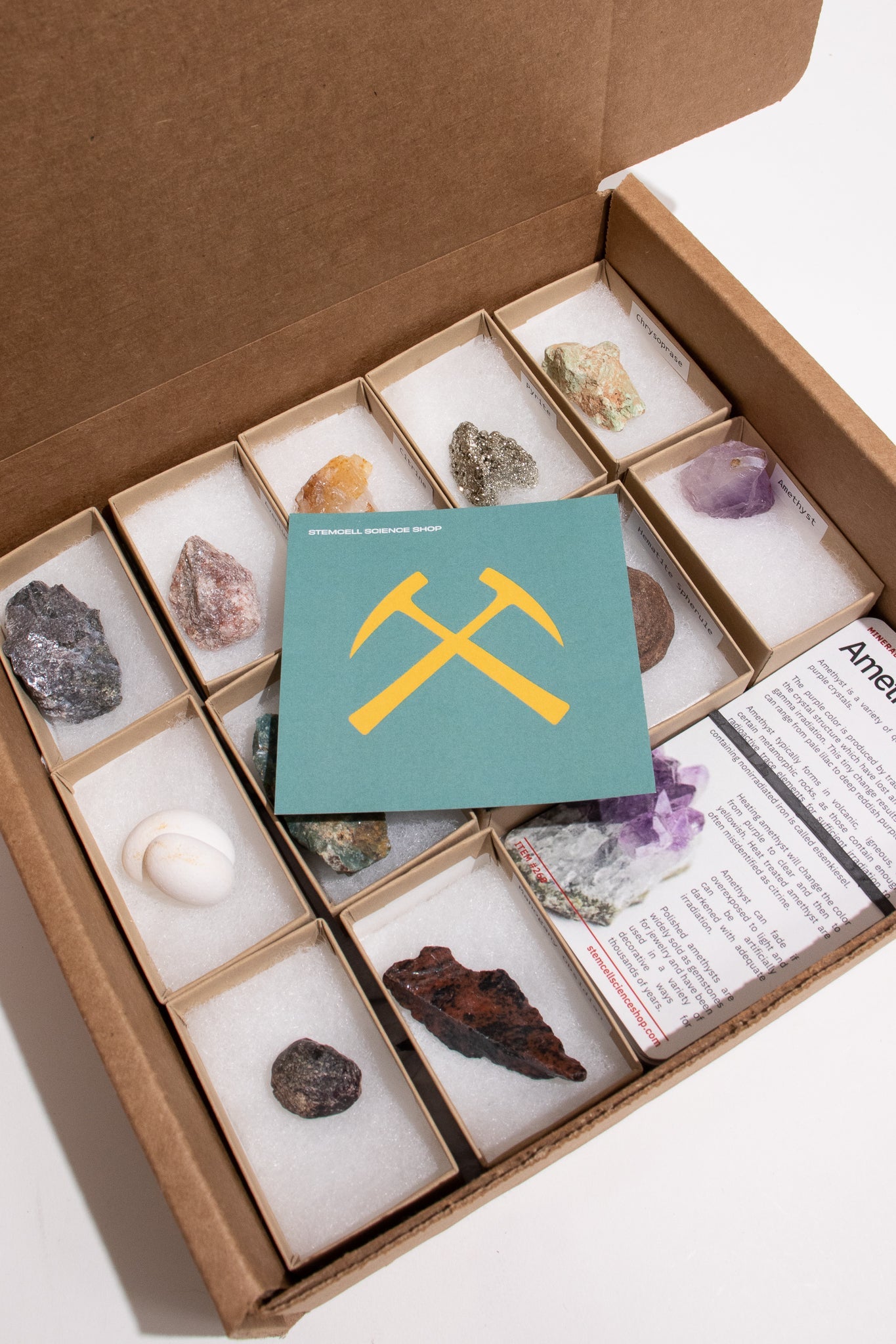 Minerals of Earth Collection Collection Box Stemcell Science Shop