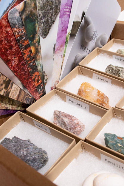 Minerals of Earth Collection Collection Box Stemcell Science Shop