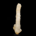 MM Quartz Coral Formation Natural Mineral Specimen # B 6252