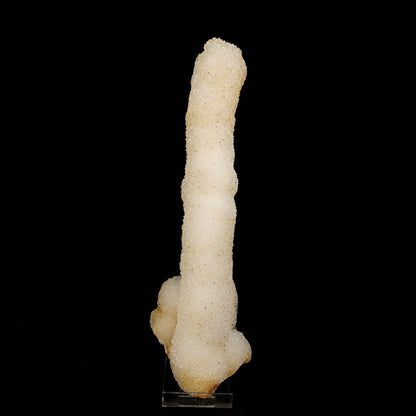 MM Quartz Coral Formation Natural Mineral Specimen # B 6252