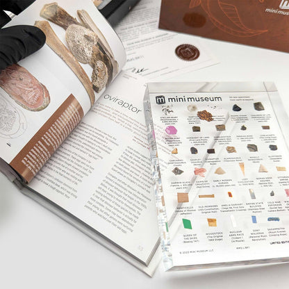 Mini Museum - Fifth Edition (LARGE - 34 Specimens)