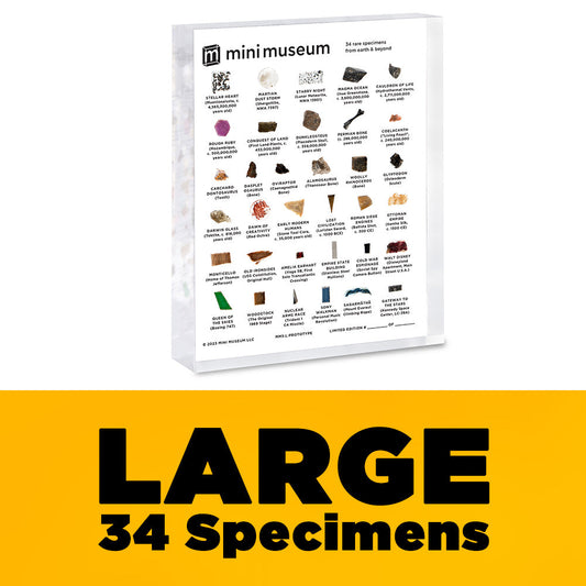 Mini Museum - Fifth Edition (LARGE - 34 Specimens)