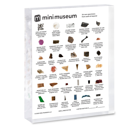 Mini Museum - Fifth Edition (LARGE - 34 Specimens)
