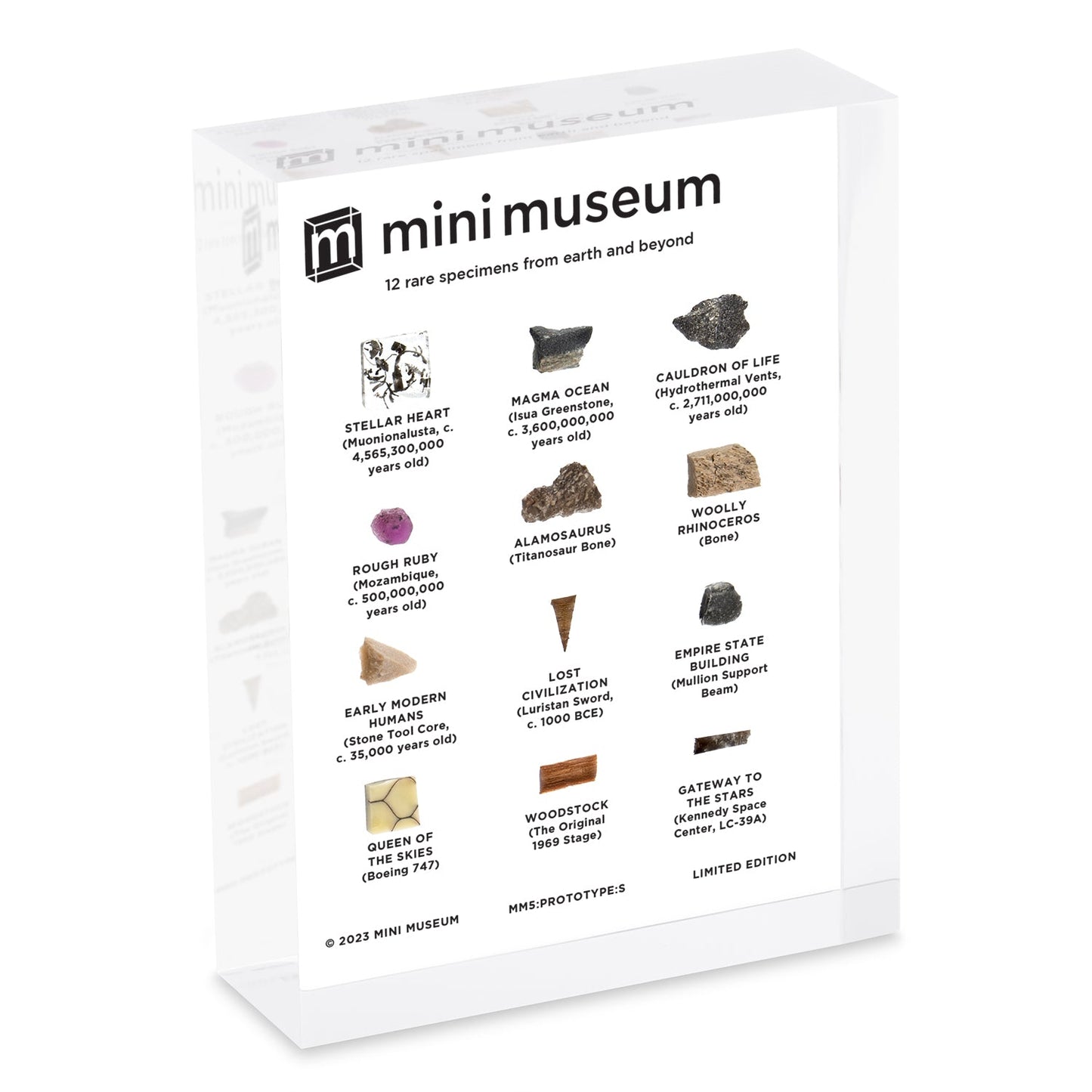 Mini Museum - Fifth Edition (SMALL - 12 Specimens)