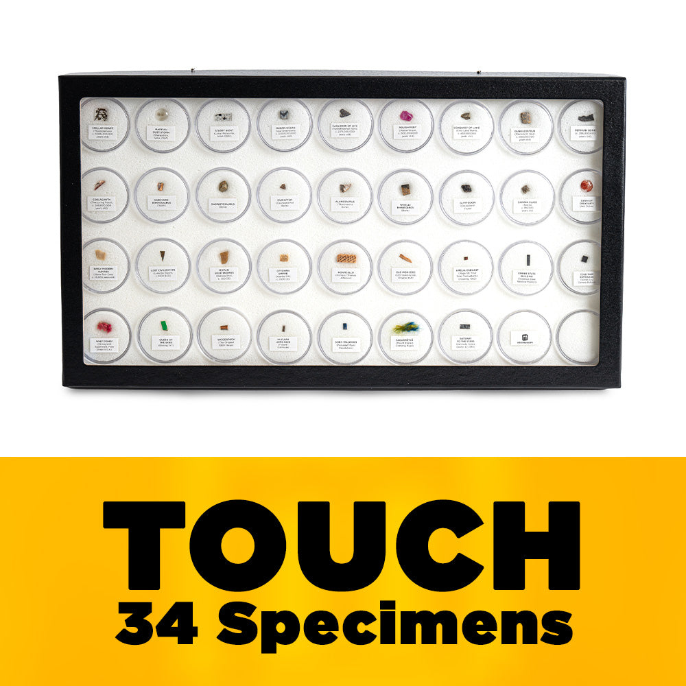 Mini Museum - Fifth Edition (TOUCH - 34 Specimens)