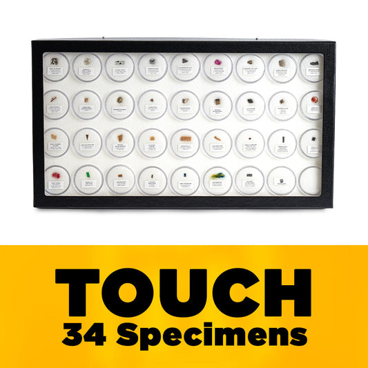 Mini Museum - Fifth Edition (TOUCH - 34 Specimens)