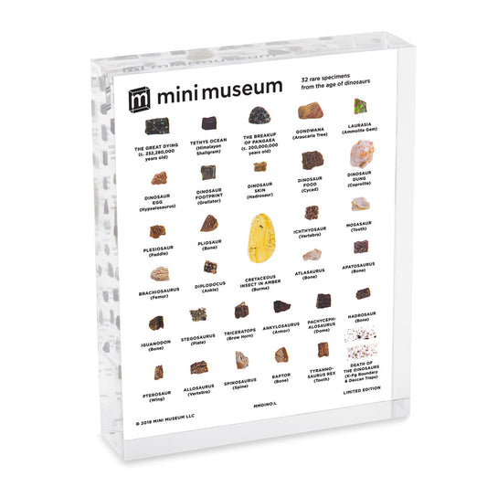 Mini Museum - Age of Dinosaurs (LARGE - 32 Specimens)