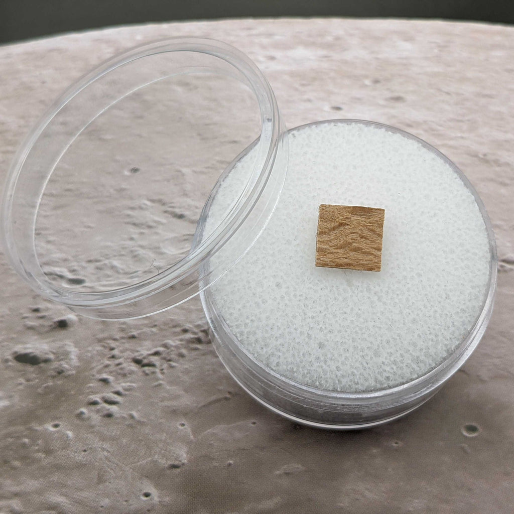 Apollo 14 Moon Tree, Default Title at Stemcell Science Shop