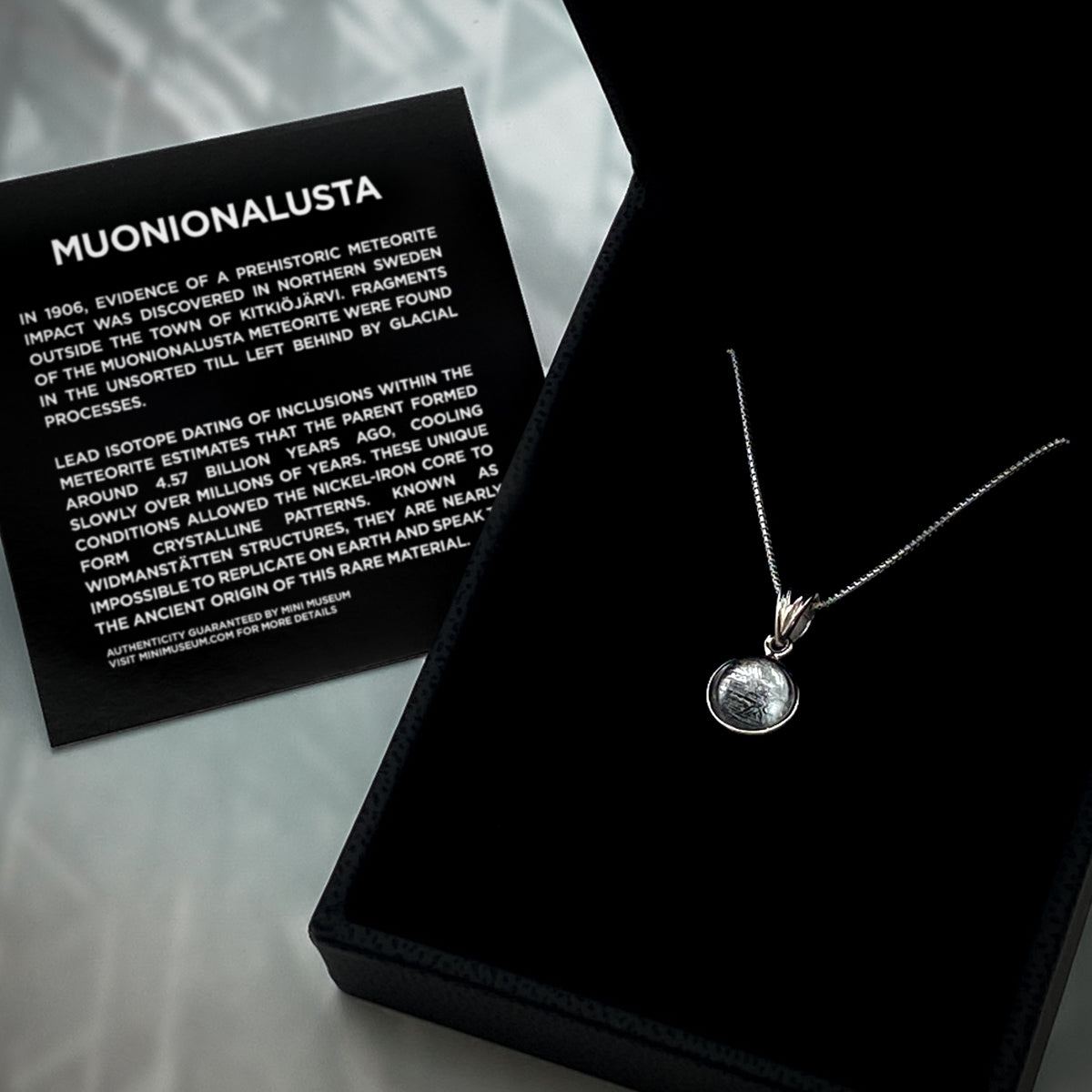 Muonionalusta Meteorite Pendant Necklace