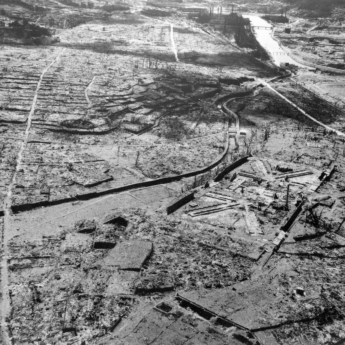 Manhattan Project Shield Window - Full Window 54" Wide