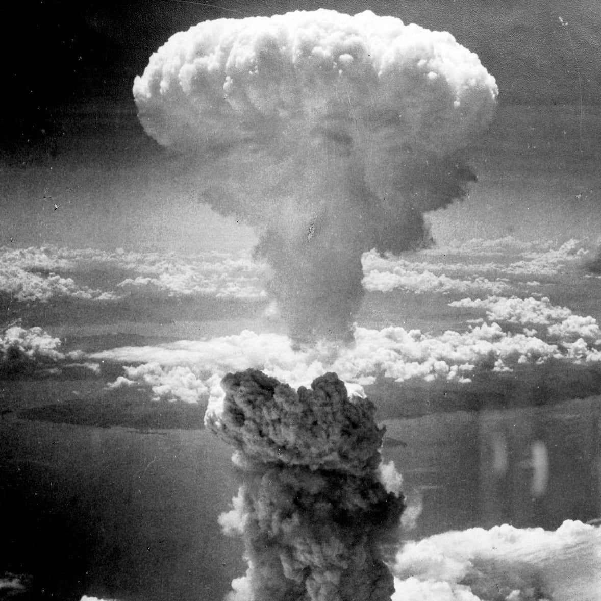 Manhattan Project Shield Window - Full Window 54" Wide